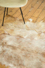 Soft, luxurious angora skin rug showing natural ivory and brown fur texture.