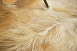 Flowing texture of luxurious hand pelt angora fur in ivory and brown.