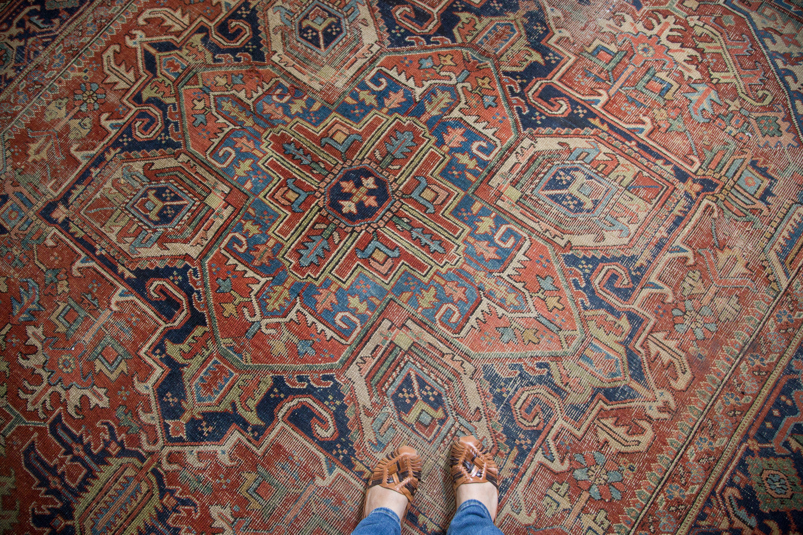 8'10" x 11'11" // ONH Item ee002529 Image 1