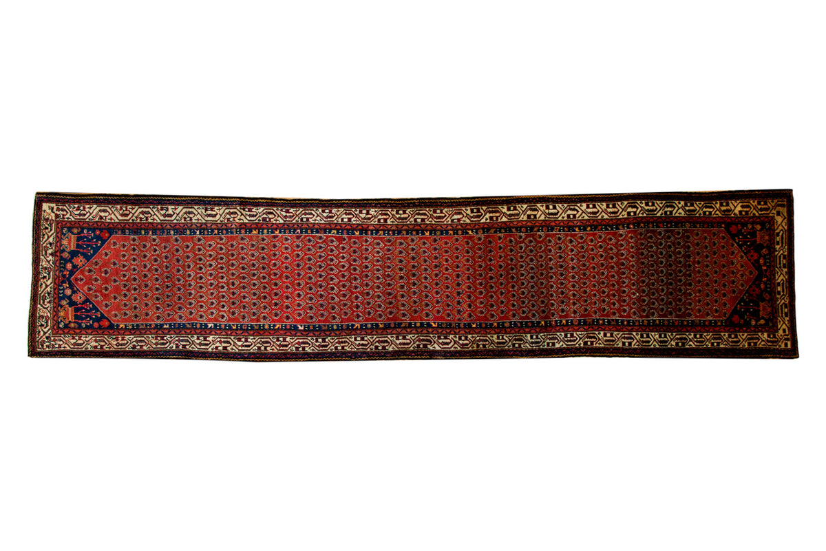 Hand knotted vintage Serbend runner with allover brick red boteh and sapphire blue borders.