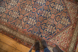 Vintage Persian Malayer runner with Henna plant design, indigo, terra cotta, and feet.