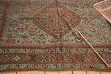 Vintage Shiraz rug lower border, geometric patterns, and pale blue bird motif field.