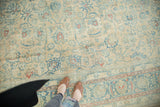 Distressed vintage Meshed rug with faded beige field, blue vinery, and terra cotta lotus flowers.