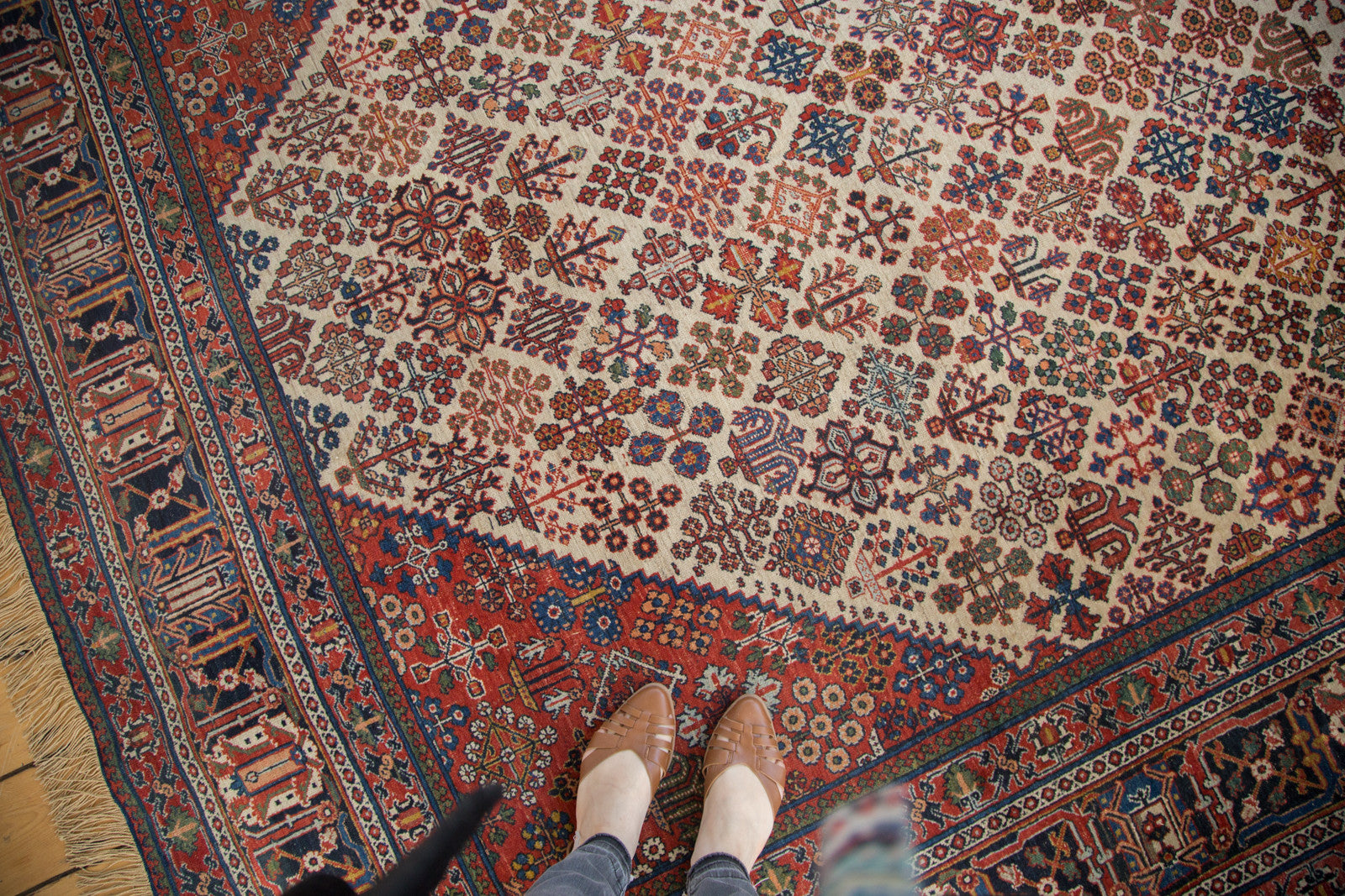 Vintage Distressed Joshegan Carpet