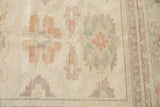 Detail of ivory hand-knotted rug with pastel floral vinery and intricate border.