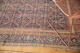 Antique Farahan rug's traditional dusty gold border and intricate blush red, navy henna motif.