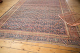 Aged blush brick red and navy blue field with intricate border on antique Farahan rug.