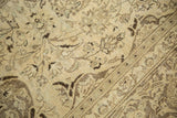 Distressed pile detail on vintage Meshed rug with faded ivory, brown, sea foam vinery.