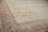Distressed Sivas carpet, ivory field with curvilinear floral patterns and blush border, showing mostly even wear.