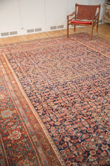 Antique Mahal herati pattern and low pile in madder root red and navy blue hues.