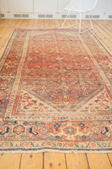 Vintage Hamadan rug's ivory fringe and turtle samovar border in blue, terracotta, and red hues.