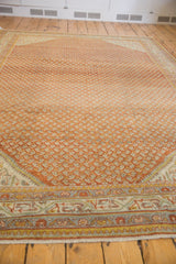 Mir Serbend style Sivas border with powder blue, celadon, and burnt orange botehs.