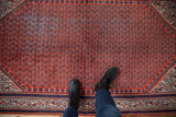 Vintage Mir Sarouk rug: rust red field with repeating navy paisley motifs, patterned border, visible wear.