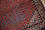 Corner of a vintage Mir Sarouk rug with navy geometric borders and rust boteh field wear.