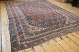 Vintage Shiraz carpet corner, showcasing germinating plant design field and intricate borders.