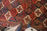 Vintage Persian Baktiari, repeating panel garden motif in madder root red, cobalt blue, charcoal.