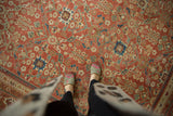 Hand-knotted antique Mahal carpet featuring allover germinating plant lattice in terra cotta and sky blue.