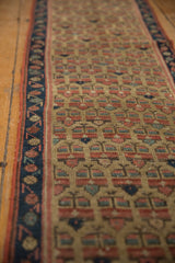 Antique Caucasian rug's germinating plant motifs featuring madder root red and sky blue on saffron.