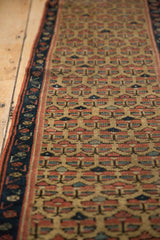 Antique Caucasian runner, close-up of germinating plant motif and navy minor border.