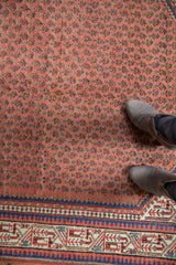 Mir Sarouk rug: madder root red germinating plant motif, indigo blue Serbend border, faint foundation.
