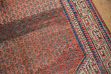 Mir Sarouk rug with madder red germinating plant motif field, visible abrashes, and indigo borders.