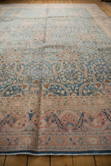 Decorative distressed Meshed carpet border with curvilinear leaves, vinery, sky blue, and pale blush.