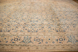 Mahal carpet main border showing blue, brown samovar, medallion motifs; some wear.