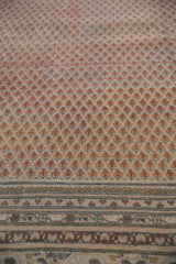 Distressed Mir Sarouk carpet detail: terra cotta boteh motifs on abrashed beige, with even wear revealing foundation.
