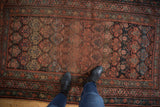 Vintage Kurdish rug with germinating plant motifs in madder red, blue, and visible field wear.