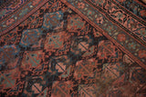 Hand-knotted Kurdish rug pile shows madder root and indigo germinating plant motif and vine border.