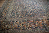 Vintage Tabriz carpet's main Samovar turtle border and Herati field in rust and navy.