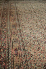 13x15.5 Antique Doroksh Carpet // ONH Item ee004275 Image 3