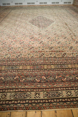 13x15.5 Antique Doroksh Carpet // ONH Item ee004275 Image 11