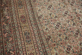 Intricate striped border next to the Herati patterned field on an antique Doroksh Persian carpet.