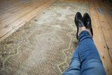 Distressed Hamadan runner, geometric medallions, intricate field, worn texture, muted ivory and blues.