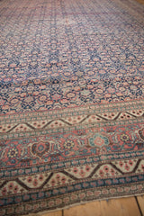 Vintage Tabriz carpet border with classic Samovar turtle design and rose, navy Herati field.