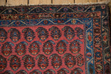 Vintage Kurdish Hamadan rug, blush field with staggered boteh, sapphire blue banded borders.