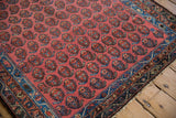 Vintage Kurdish Hamadan rug corner with blush boteh motifs, sapphire blue border, and fringe.