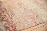 Vintage Moroccan rug detail, pale raspberry red dragon plant border and trellis vines.