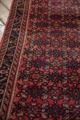 Vintage Hamadan rug runner's dusty teal serrated leaf border and red Herati field.