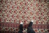 Vintage Baktiari carpet with brick red floral bat lattice and blue pomegranate border.