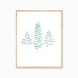 Katelyn Morse botanical art print of three light green watercolor ferns on white.