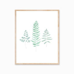 Katelyn Morse Ferns Botanical Art Print 8x10 // ONH Item 7050