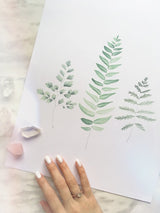 Bottom corner of Katelyn Morse fern botanical art print on smooth white paper.