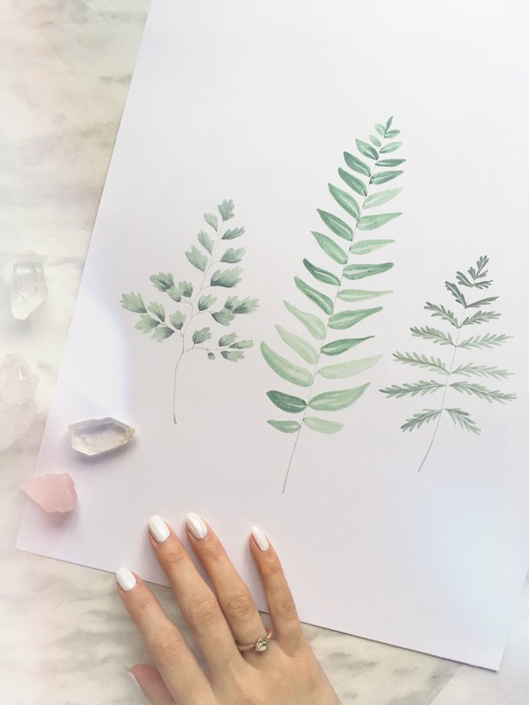 Katelyn Morse Ferns Botanical Art Print 8x10 // ONH Item 7050 Image 1