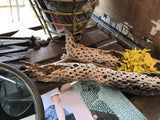 Small Cholla cactus wood featuring natural intricate holes and delicate yellow blossoms.
