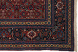 Corner of a vintage Tabriz carpet showing the wide turtle motif and palmette border design.