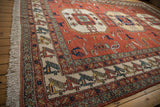 Layered finned bird border and ivory fringe of the vintage Meshkin rug, in blue, yellow, terracotta.
