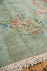 Plush seafoam green pile displaying ornate blush, blue, terra cotta foliage, with ivory fringe.