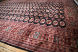 The plush wool pile's high sheen on an intricate terra cotta and black Bokhara carpet border.